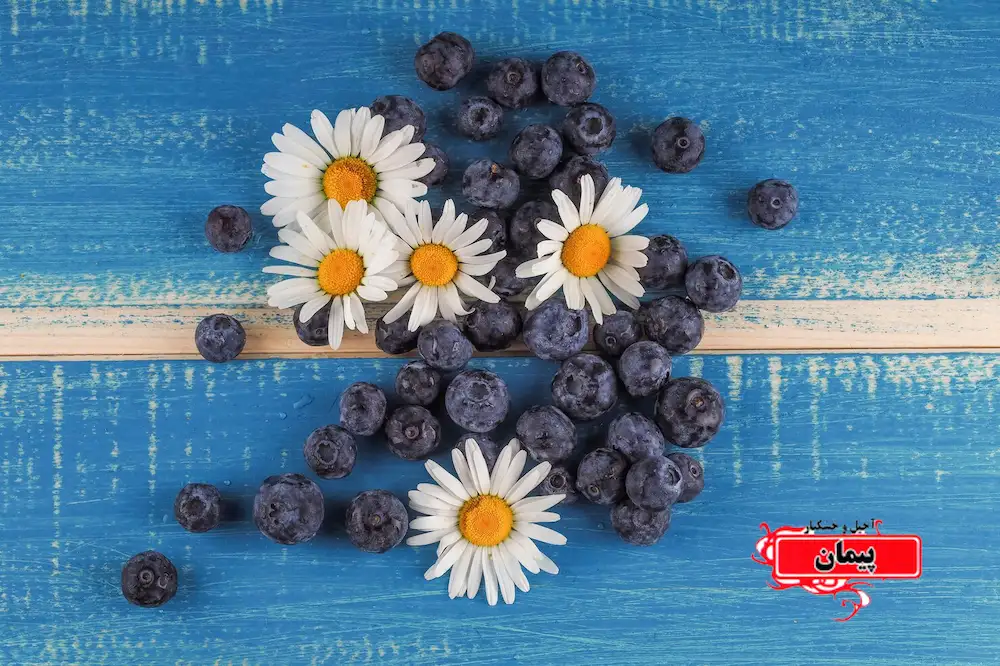 5 خاصیت مقوی بلوبری خشک شده برای سلامتی | انواع میوه خشک با کیفیت در فروشگاه خشكبار پيمان