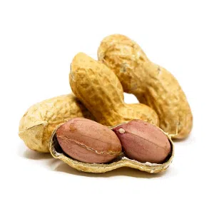 بادام زمينی