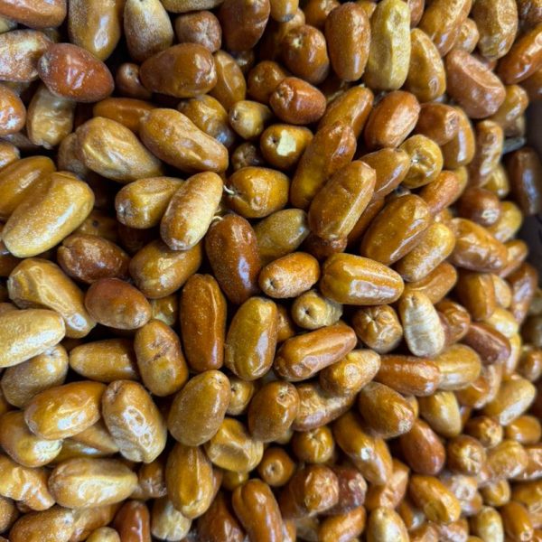 سنجد مراغه اعلاء