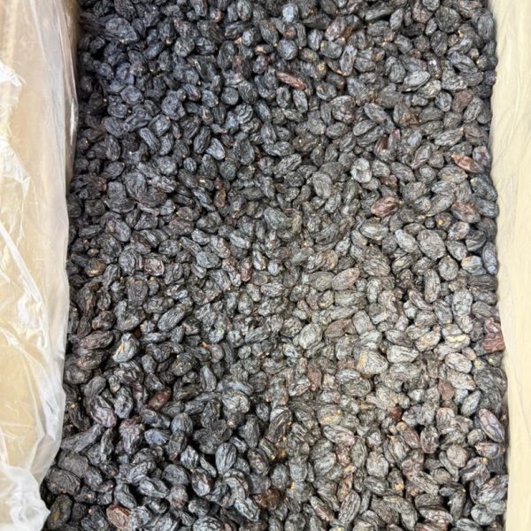 مويز بی هسته ( محصول تاكستان )