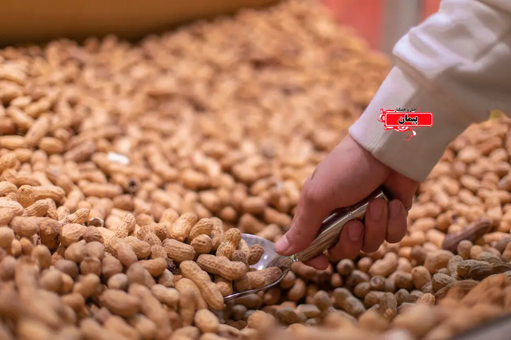 10 نشانه مهم هنگام خرید آجیل تازه در فروشگاه اینترنتی خشكبار پيمان | خواص خرید آجیل تازه چیست